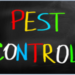 Delta Pest Control
